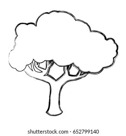 Beautiful tree isolated