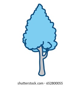 Beautiful tree isolated