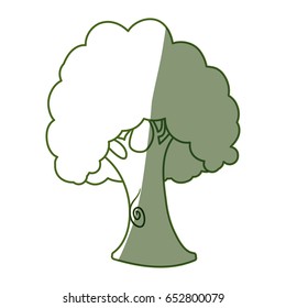 Beautiful tree isolated