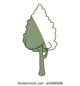Beautiful tree isolated