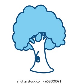 Beautiful tree isolated