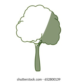Beautiful tree isolated
