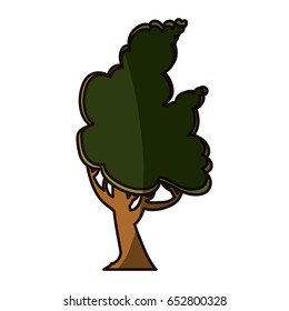 Beautiful tree isolated