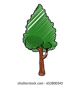 Beautiful tree isolated