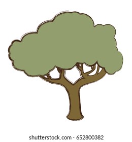 Beautiful tree isolated