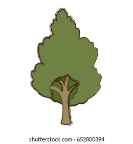 Beautiful tree isolated