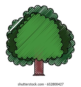 Beautiful tree isolated