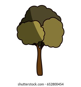 Beautiful tree isolated