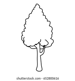 Beautiful tree isolated