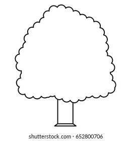 Beautiful tree isolated