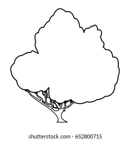 Beautiful tree isolated