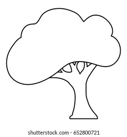 Beautiful tree isolated