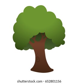 Beautiful tree isolated
