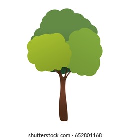 Beautiful tree isolated