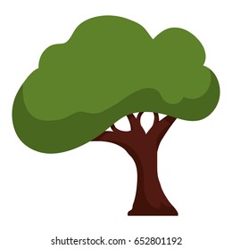 Beautiful tree isolated