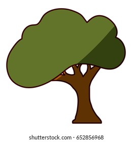 Beautiful tree isolated