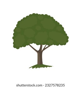 Beautiful tree isolated on white background. Green tree in flat style for environment and garden. Natural vector illustration.