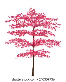 Beautiful tree tree isolated on white. Vector Illustration