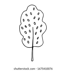 Beautiful tree with leaves. National Forest Day. The concept of conservation of nature. Spring or summer doodle style black and white illustration. National arbor day. Ecology vector