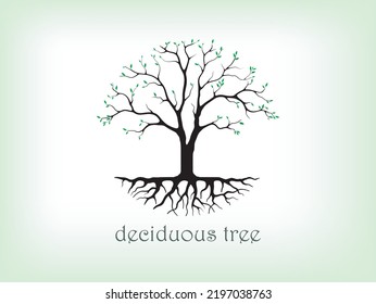 beautiful tree logo design in circular shaped