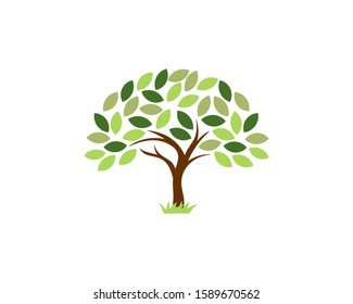 beautiful tree logo vector template