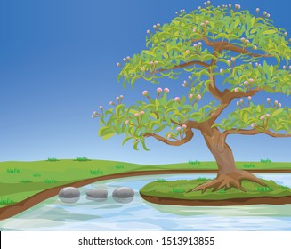 beautiful  tree on landscape view  vector design,stone in river