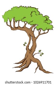 Beautiful tree on a white background
