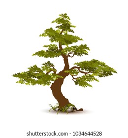 Beautiful tree on a white background