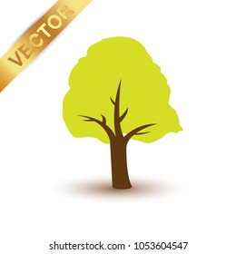 Beautiful tree  on a white background.