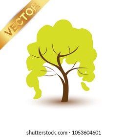 Beautiful tree  on a white background.