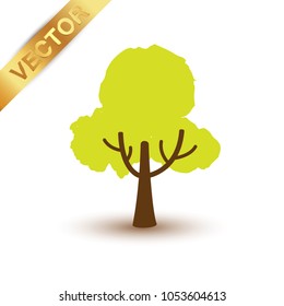 Beautiful tree  on a white background.