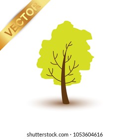 Beautiful tree  on a white background.
