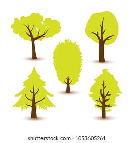 Beautiful tree on a white background.