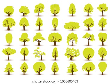 Beautiful tree on a white background.