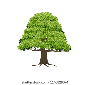 Beautiful tree on a white background