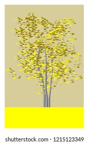 Beautiful tree on a white background