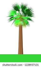 Beautiful tree on a white background