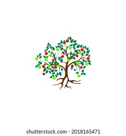 Beautiful tree on a white background