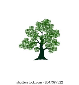 Beautiful tree on a white background