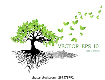 Beautiful tree on a white background