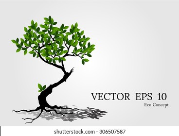 a beautiful tree on white background.