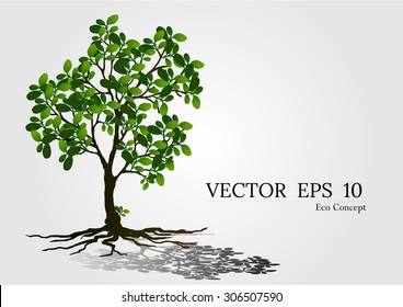 a beautiful tree on white background.