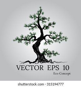 Beautiful tree on a white background