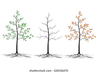 Beautiful tree on a white background