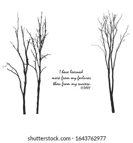 The beautiful tree with the quote
