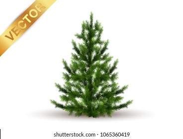 Beautiful tree Realistic  on a white background.