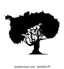 Beautiful tree silhouette