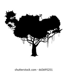 Beautiful tree silhouette