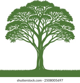 Beautiful tree silhouette vector white background. Incredibly Detailed Tree Silhouette. Highly Detailed Tree Silhouettes. Silhouette tree green color vector illustration isolated on white background 