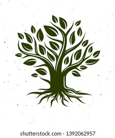 Beautiful tree vector classic style drawing logo or icon, perfect silhouette.